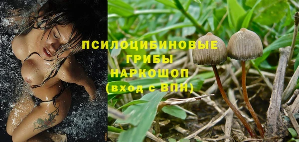 индика Покров