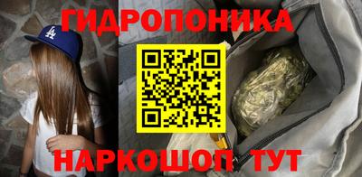 спиды Бийск