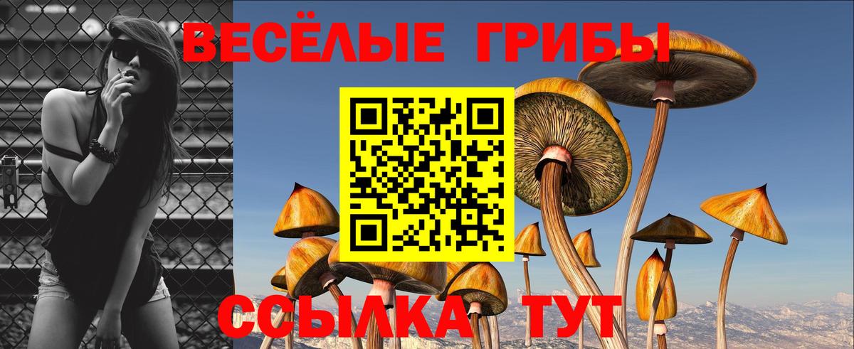 Псилоцибиновые грибы Cubensis  где можно купить наркотик  Борисоглебск  Галлюциногенные грибы прущие грибы 
