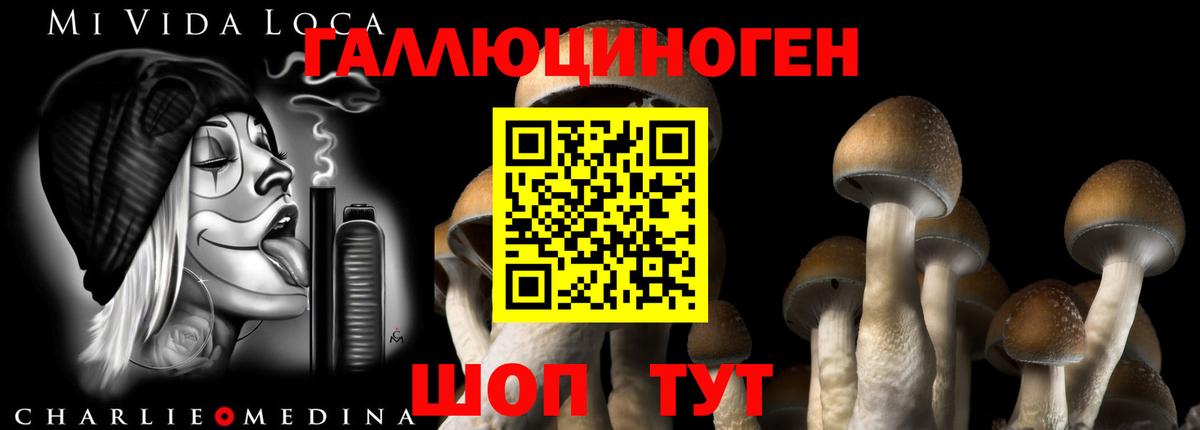 Галлюциногенные грибы Magic Shrooms  Вход с VPN  Галлюциногенные грибы Magic Shrooms  Борисоглебск 